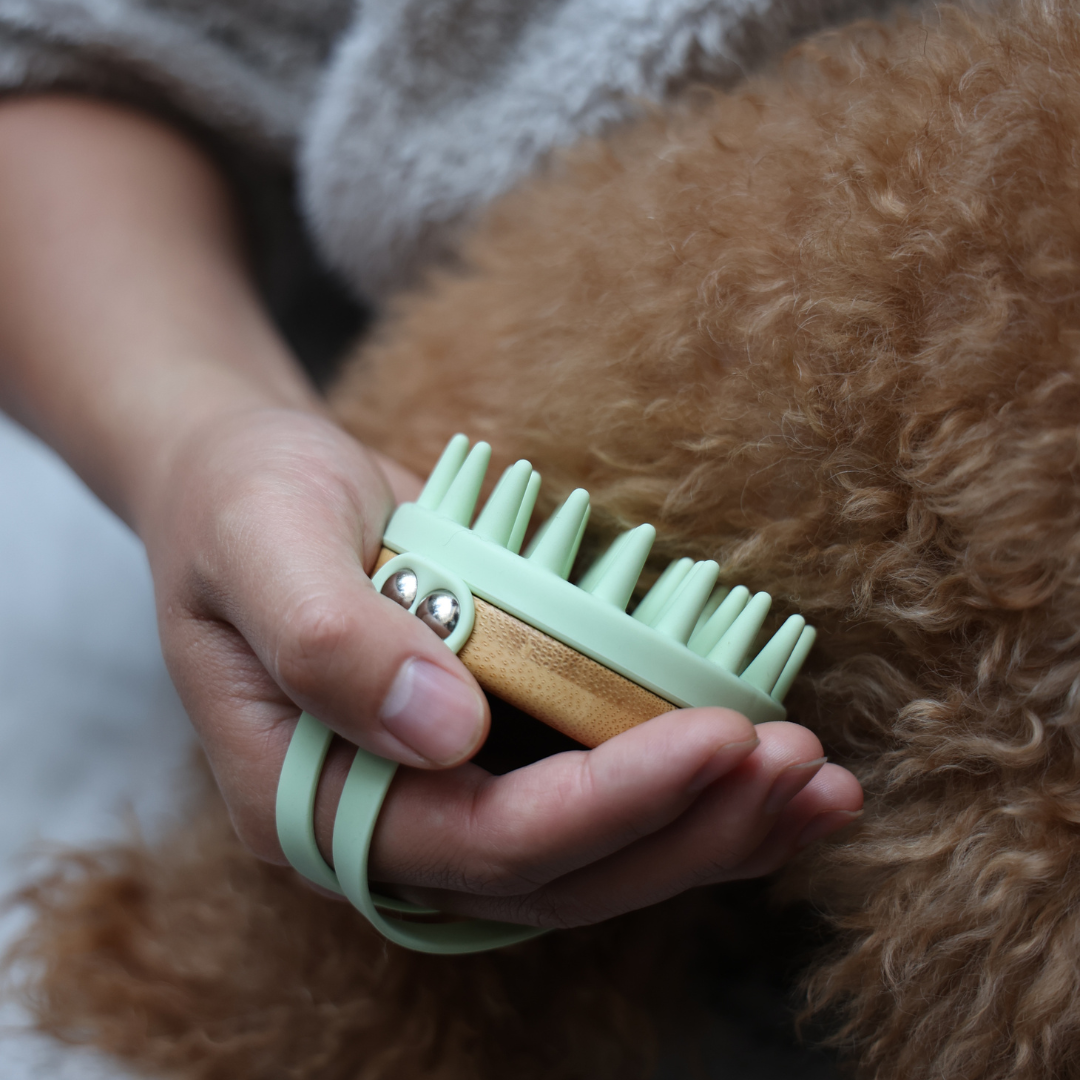 BROSSE DE MASSAGE EN BAMBOU