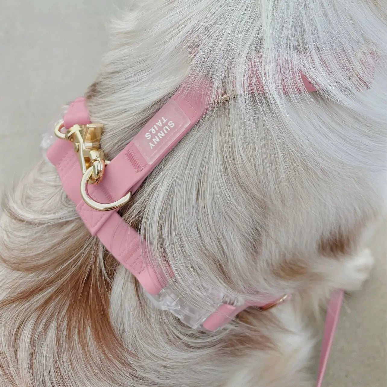 HARNAIS IMPERMÉABLE REGLABLE POUR CHIEN - ROSE