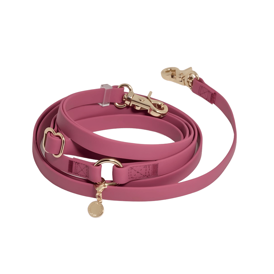 LAISSE IMPERMÉABLE MAIN LIBRE POUR CHIEN - FRAMBOISE