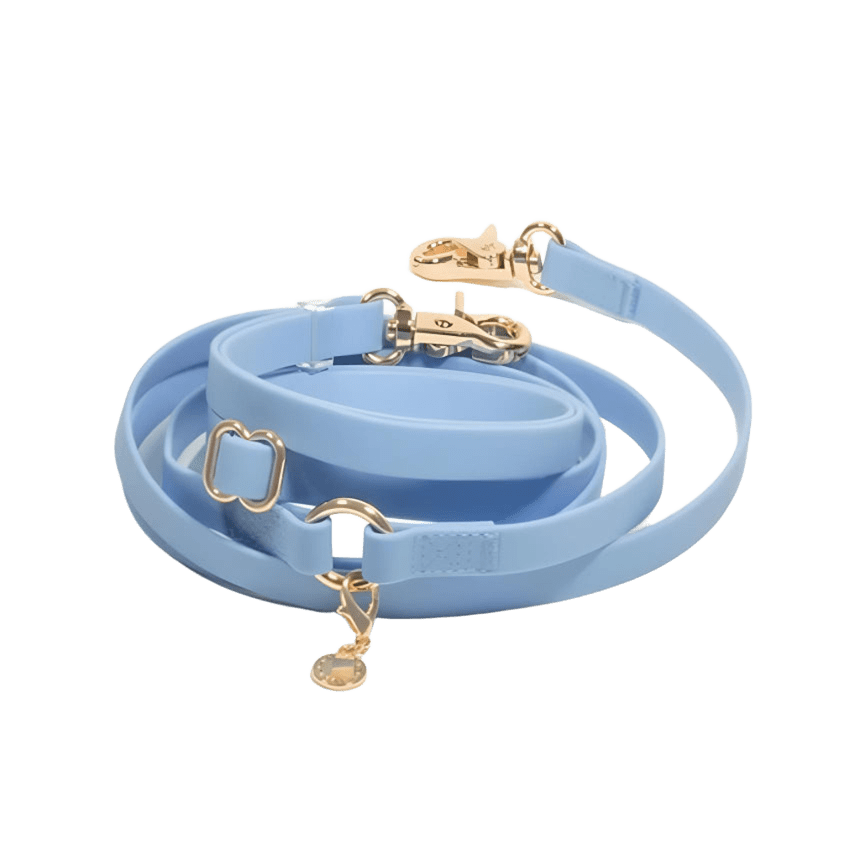 LAISSE IMPERMÉABLE MAIN LIBRE POUR CHIEN - BLEU