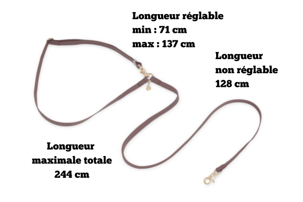 LAISSE IMPERMÉABLE MAIN LIBRE POUR CHIEN - MARRON