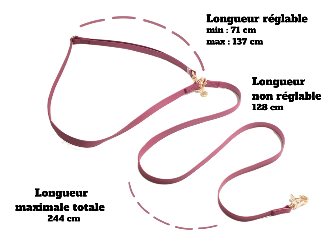 LAISSE IMPERMÉABLE MAIN LIBRE POUR CHIEN - FRAMBOISE
