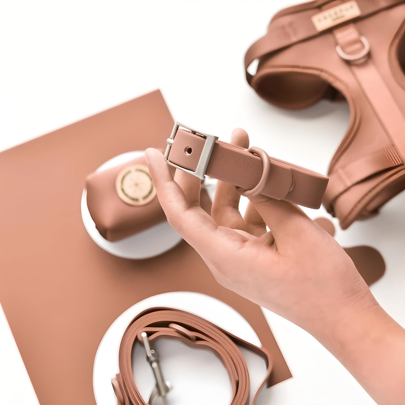 collier-brownie-imperméable-chien-yoyoandco.