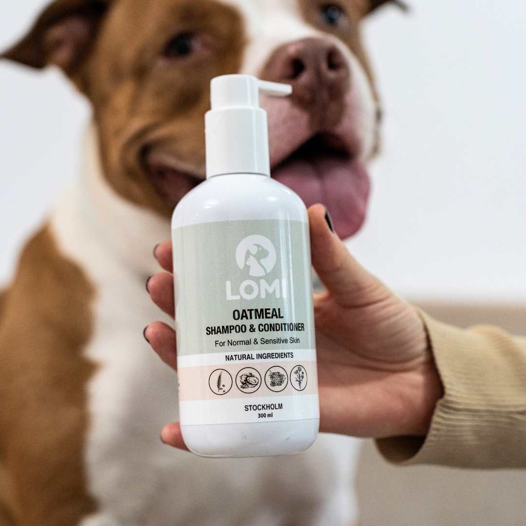 SHAMPOING ET REVITALISANT À L'AVOINE