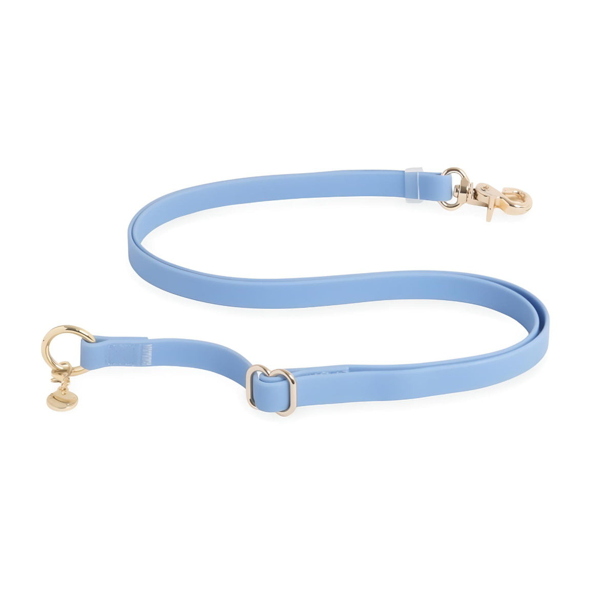RALLONGE DE LAISSE POUR CHIEN - BLEU