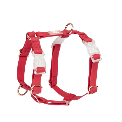 HARNAIS IMPERMÉABLE REGLABLE POUR CHIEN - ROUGE