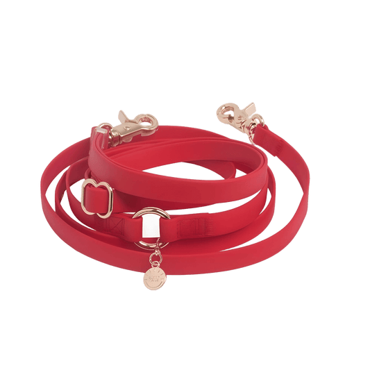 LAISSE IMPERMÉABLE MAIN LIBRE POUR CHIEN - ROUGE