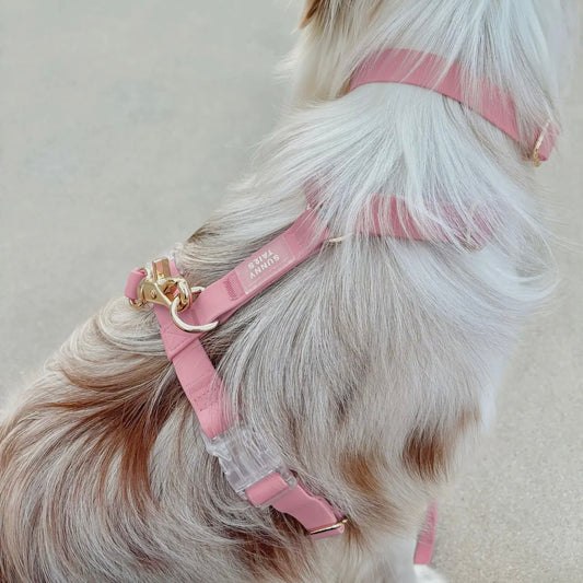HARNAIS IMPERMÉABLE REGLABLE POUR CHIEN - ROSE