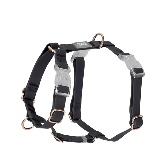HARNAIS IMPERMÉABLE REGLABLE POUR CHIEN - NOIR