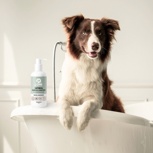 SHAMPOING ET REVITALISANT À L'AVOINE