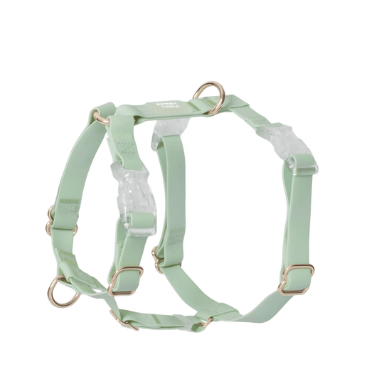 HARNAIS IMPERMÉABLE REGLABLE POUR CHIEN - PISTACHE