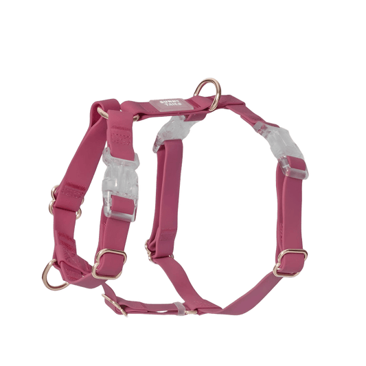 HARNAIS IMPERMÉABLE REGLABLE POUR CHIEN - FRAMBOISE
