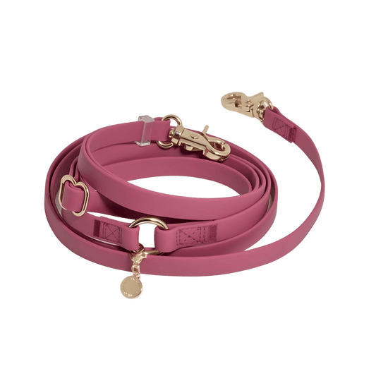 LAISSE IMPERMÉABLE MAIN LIBRE POUR CHIEN - FRAMBOISE