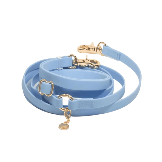 LAISSE IMPERMÉABLE MAIN LIBRE POUR CHIEN - BLEU