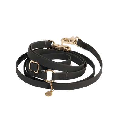 LAISSE IMPERMÉABLE MAIN LIBRE POUR CHIEN - NOIR