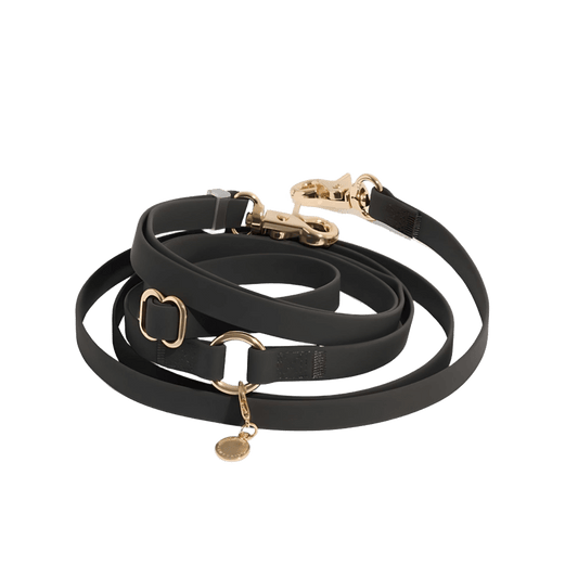 LAISSE IMPERMÉABLE MAIN LIBRE POUR CHIEN - NOIR