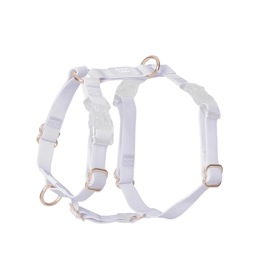 HARNAIS IMPERMÉABLE REGLABLE POUR CHIEN - LAVANDE