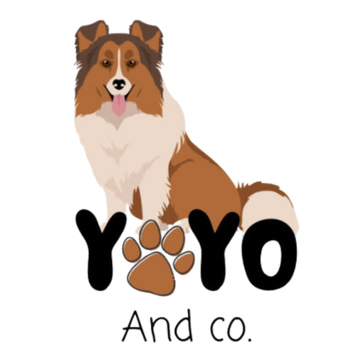 YOYO AND CO.
