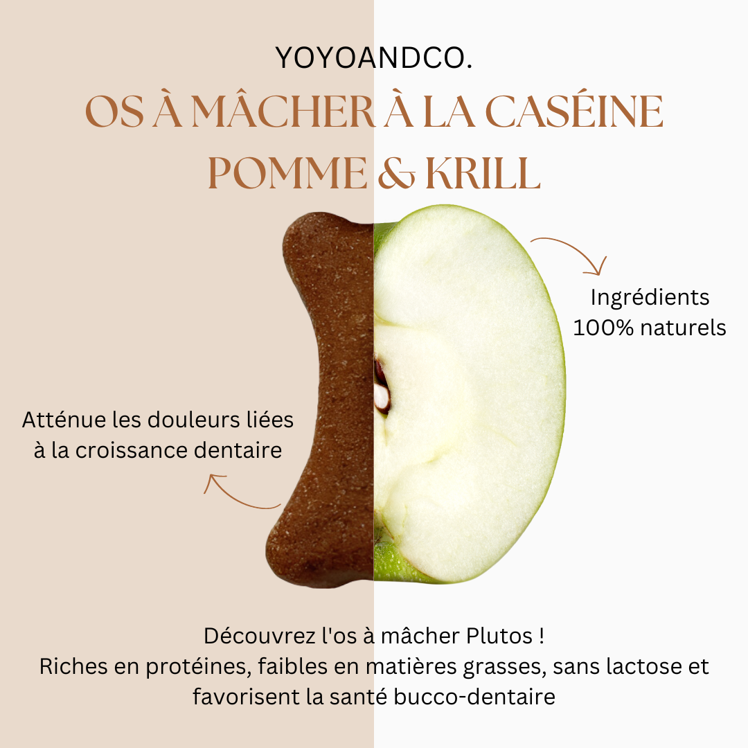OS À MÂCHER POUR CHIEN À LA CASÉINE POMME & KRILL