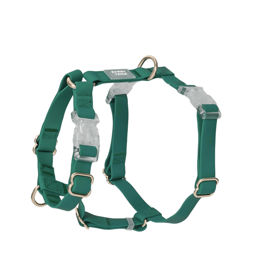 HARNAIS IMPERMÉABLE REGLABLE POUR CHIEN - VERT