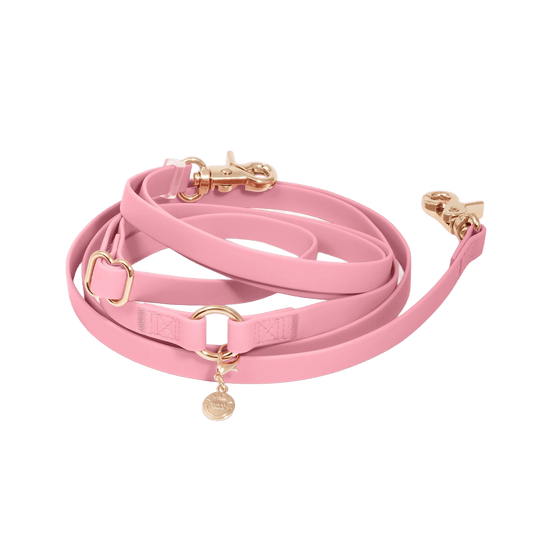 LAISSE IMPERMÉABLE MAIN LIBRE POUR CHIEN - ROSE