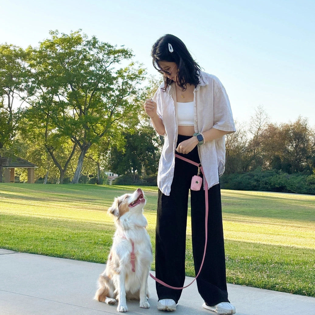 LAISSE IMPERMÉABLE MAIN LIBRE POUR CHIEN - ROSE