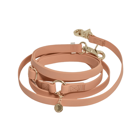 LAISSE IMPERMÉABLE MAIN LIBRE POUR CHIEN - BEIGE