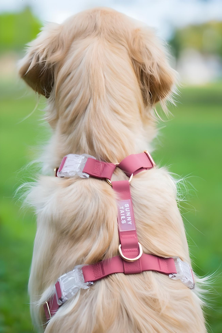 harnais-y-chien-rose-impermeable-yoyoandco. 