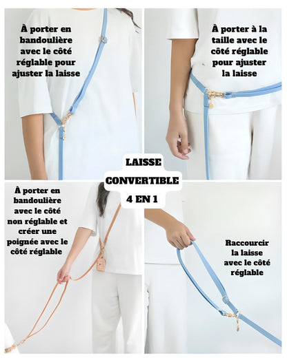 LAISSE IMPERMÉABLE MAIN LIBRE POUR CHIEN - BLEU